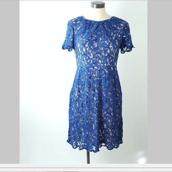 Coldwater Creek Women p12 Royal Blue Lace Overlay Lined Dress - Picture 1 of 12